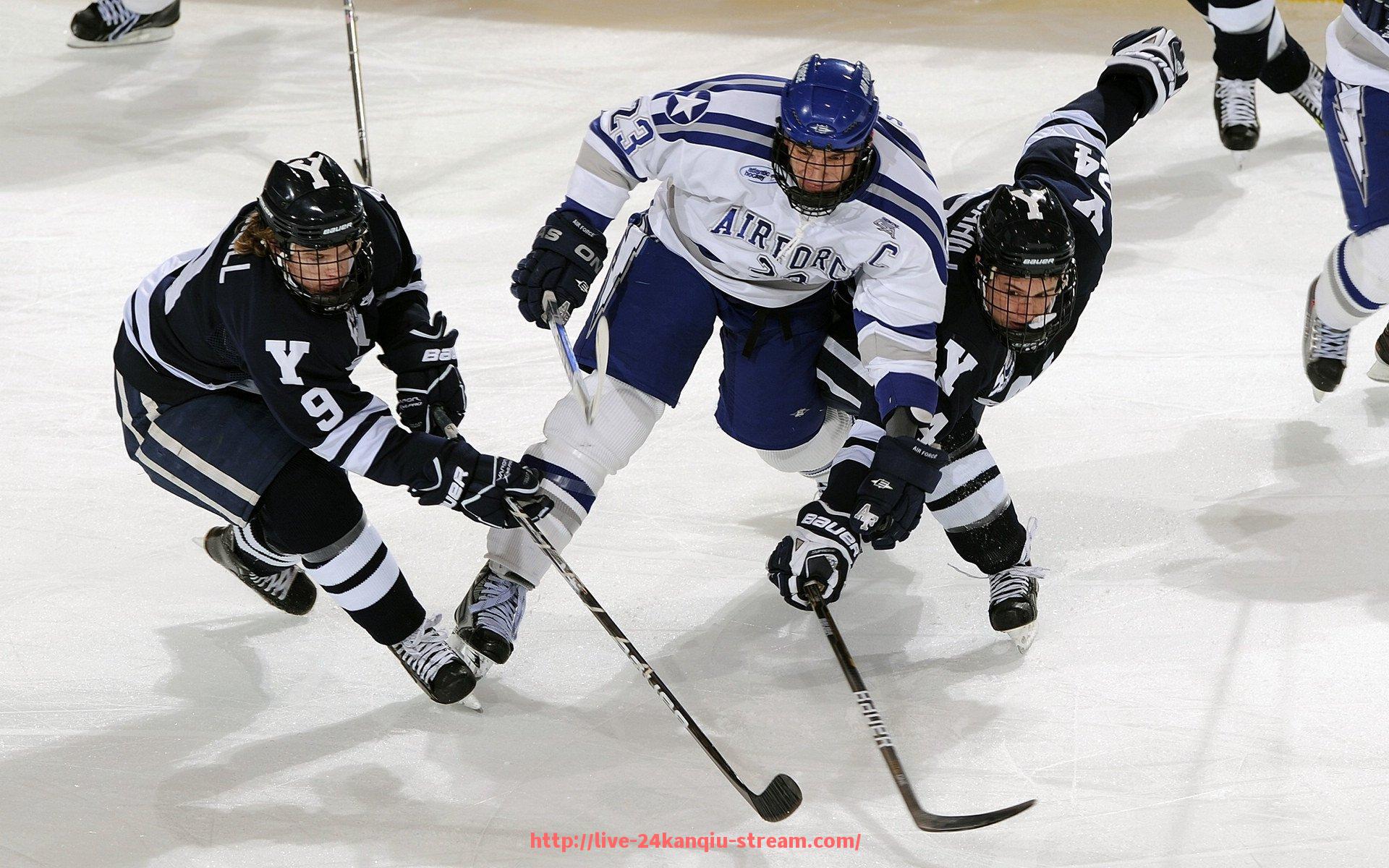 24看球直播网-力健品牌健身器材功能与用户使用评价综合分析